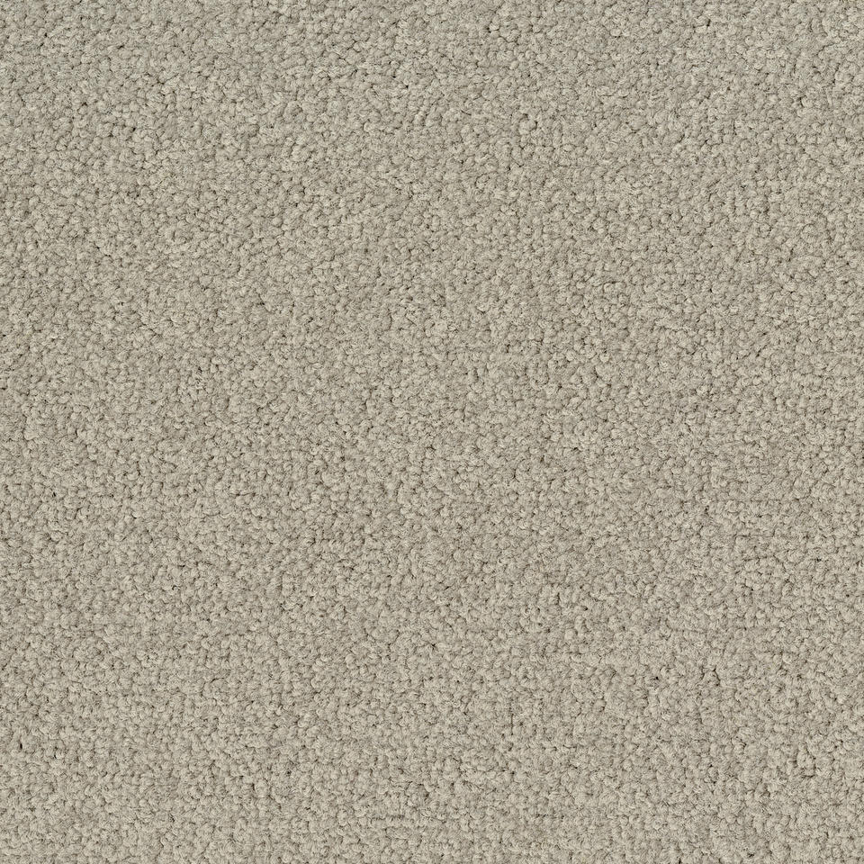 LRV Palatino Ecobase B359  1321