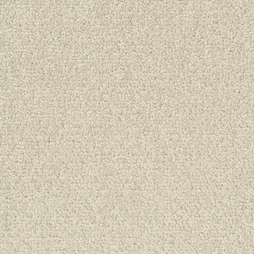 LRV Palatino Ecobase B359  2928