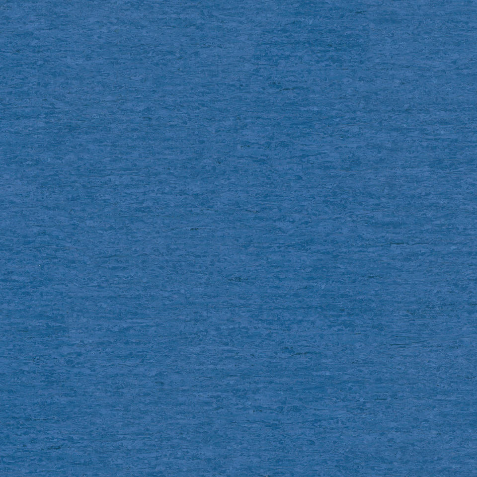 Optima DARK BLUE 0843