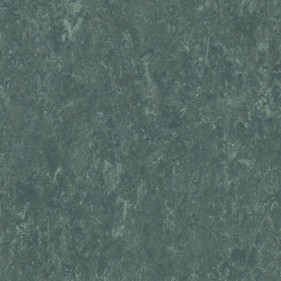 Veneto NIGHT OWL 917