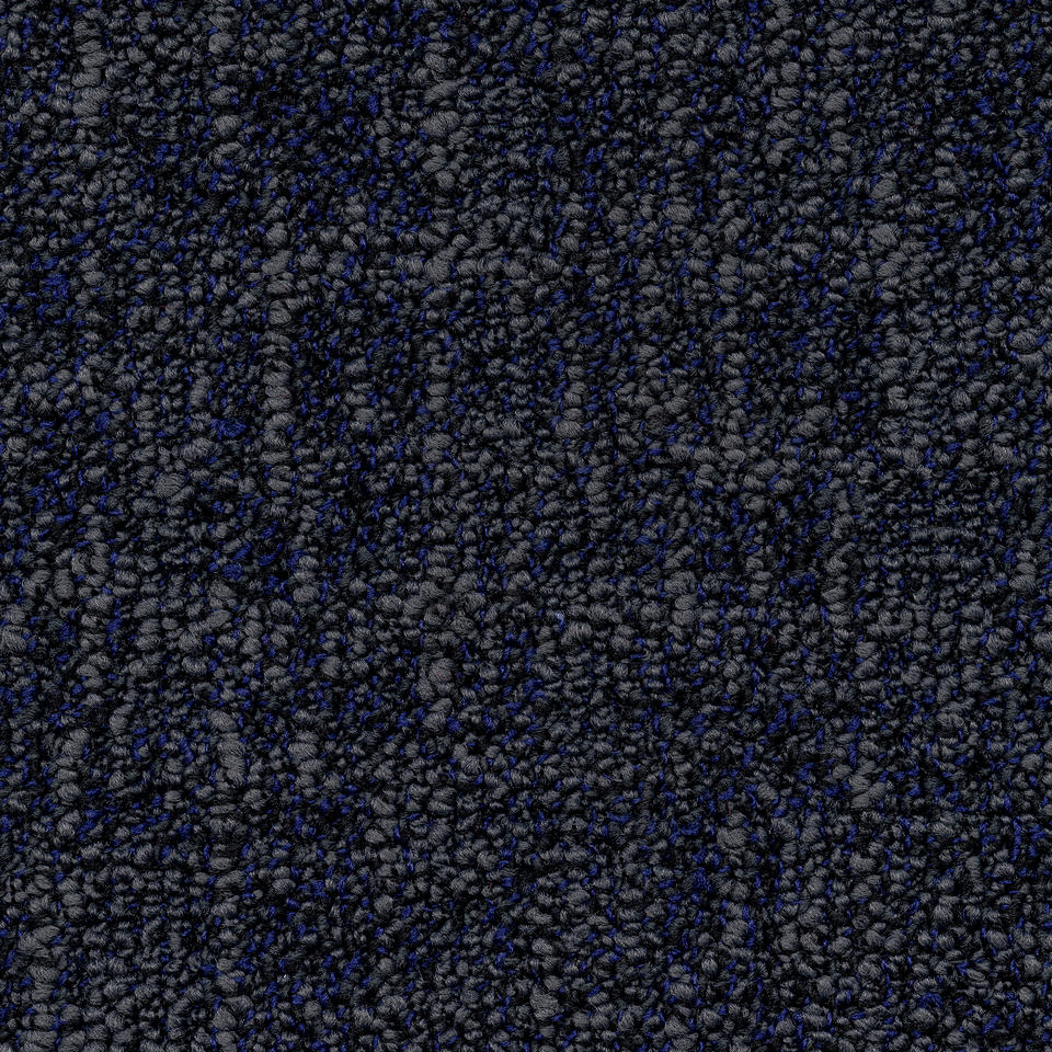 Tweed B529  3831