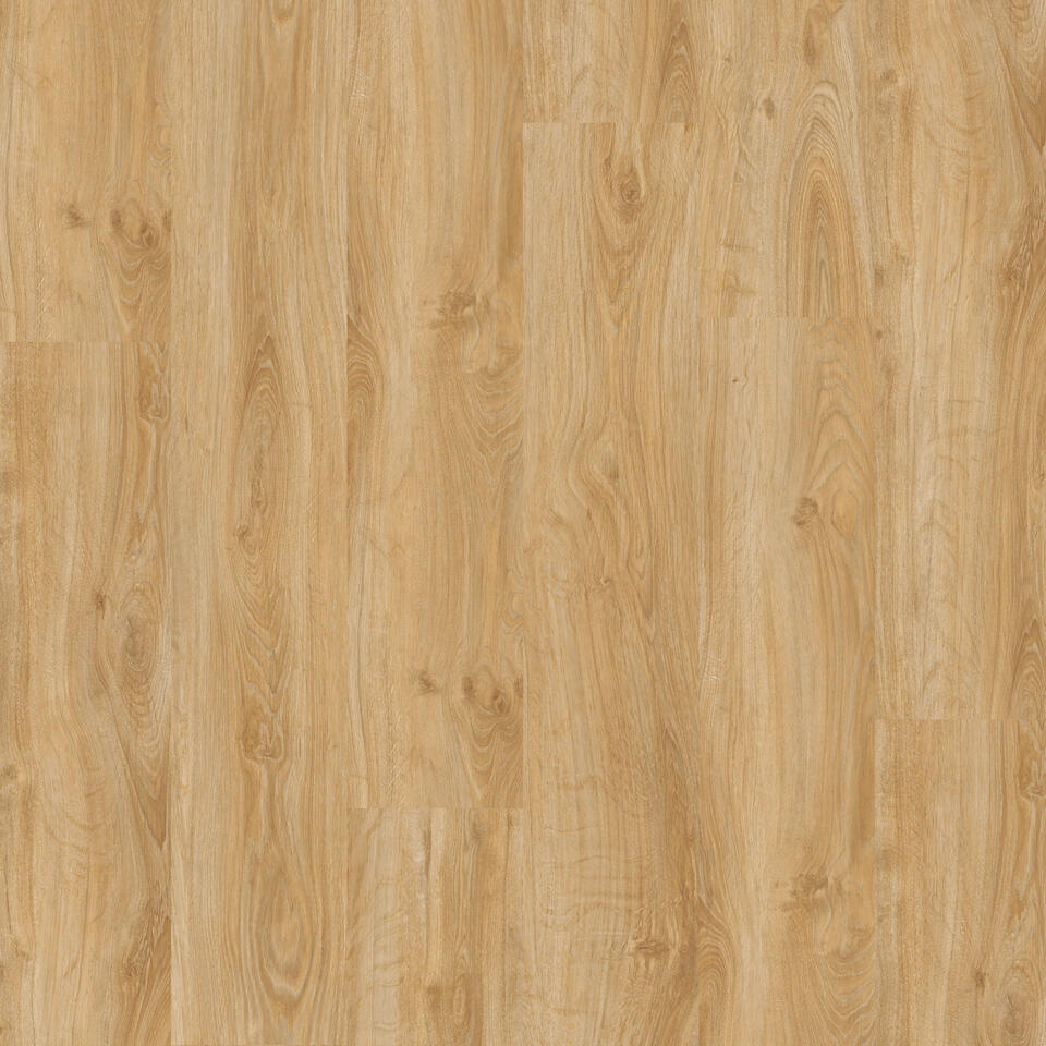 English Oak CLASSICAL