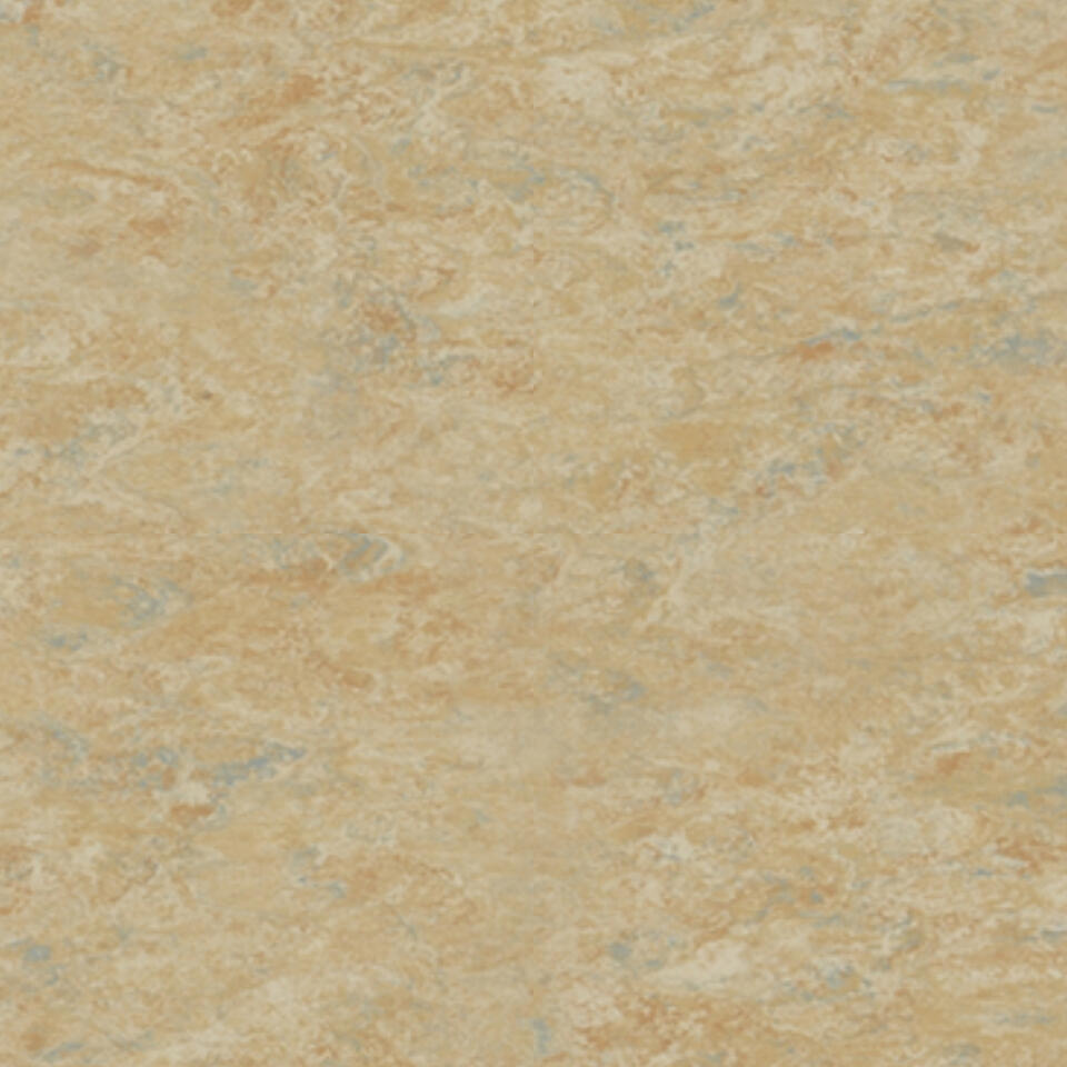 Veneto CAMEL 616