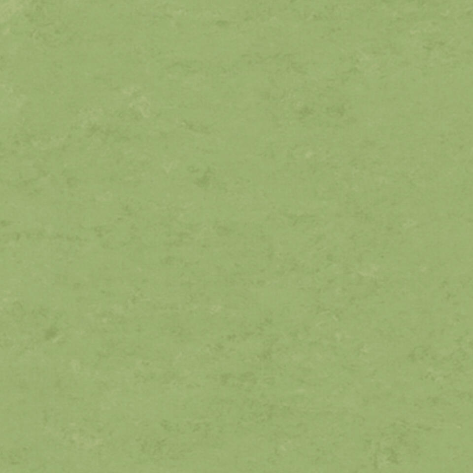 Veneto APPLE GREEN 754