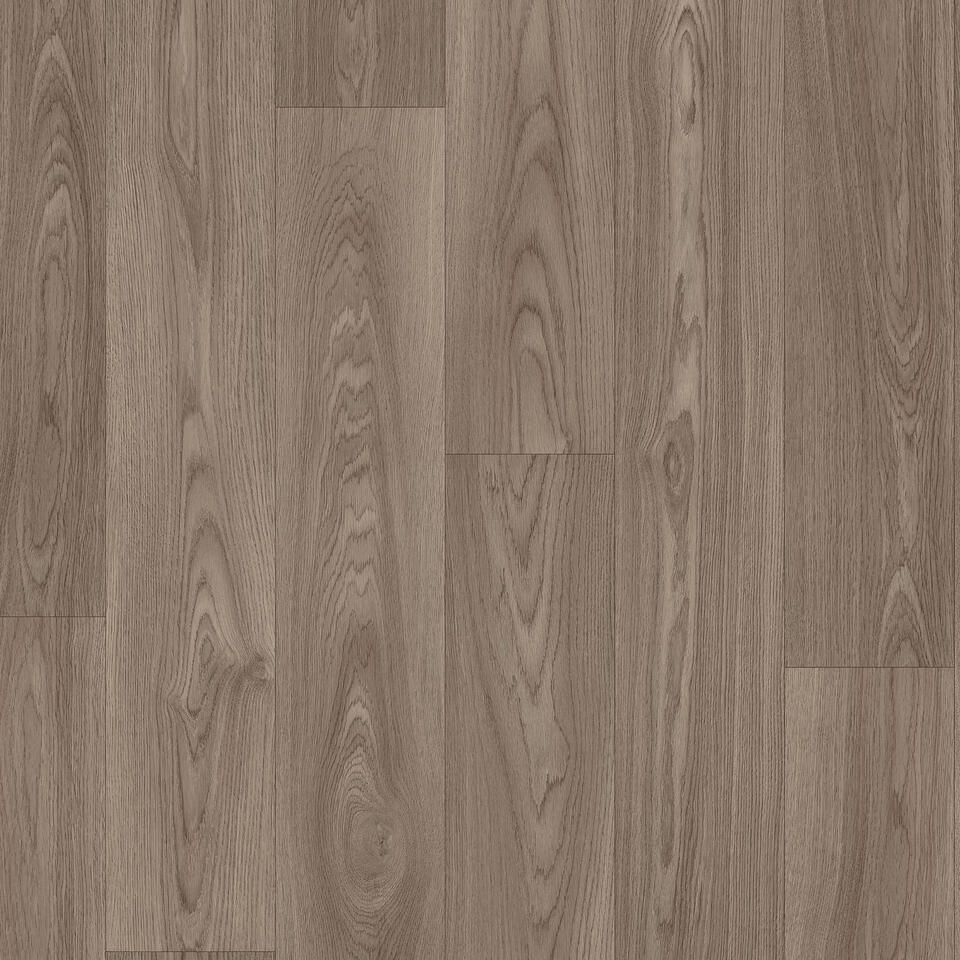 Citizen Oak DARK GREY