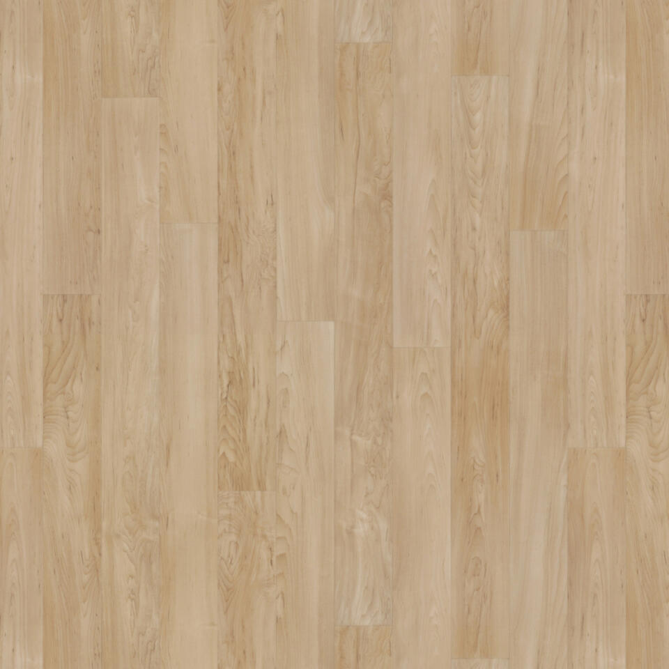 Maple BEIGE