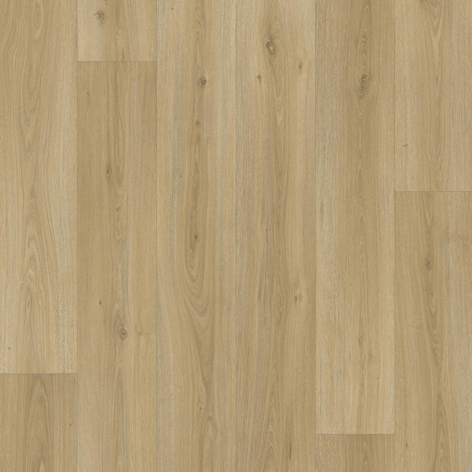 Powell Oak GOLD