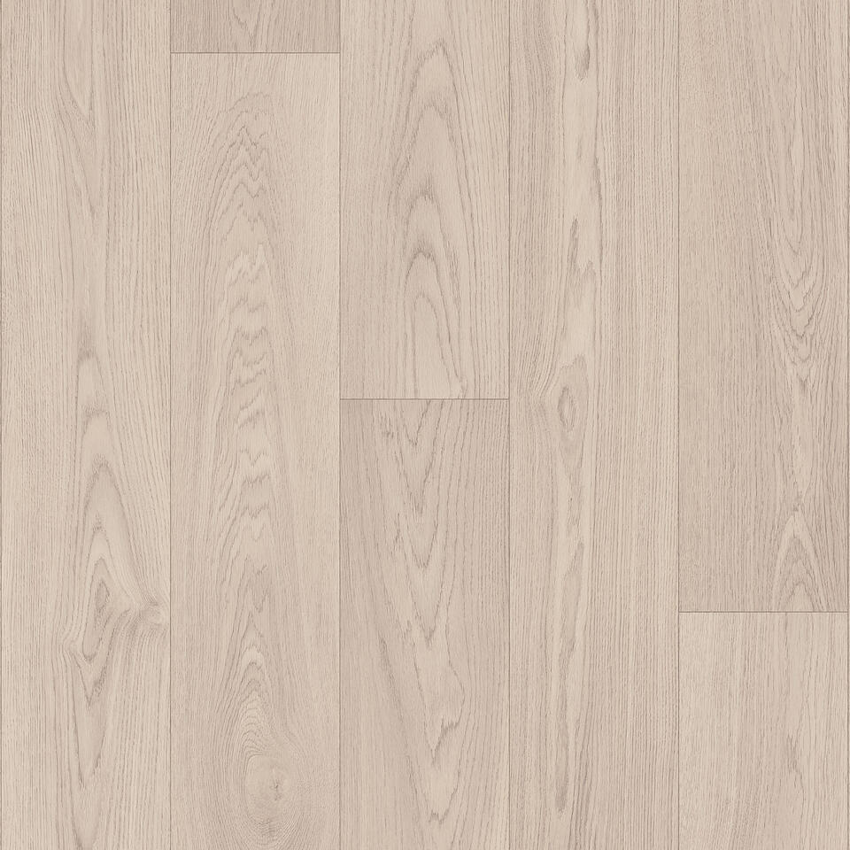 Citizen Oak LIGHT GREY