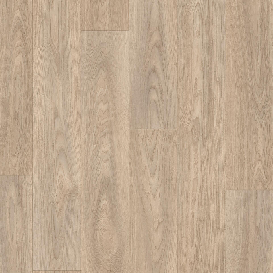 Citizen Oak MEDIUM BEIGE