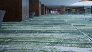 AXMİNSTER Koleksiyon Görselleri