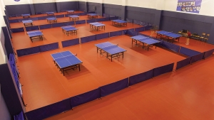 Table Tennis Koleksiyon Görselleri
